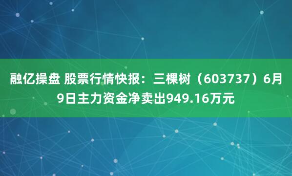 融亿操盘 股票行情快报：三棵树（603737）6月9日主力资金净卖出949.16万元
