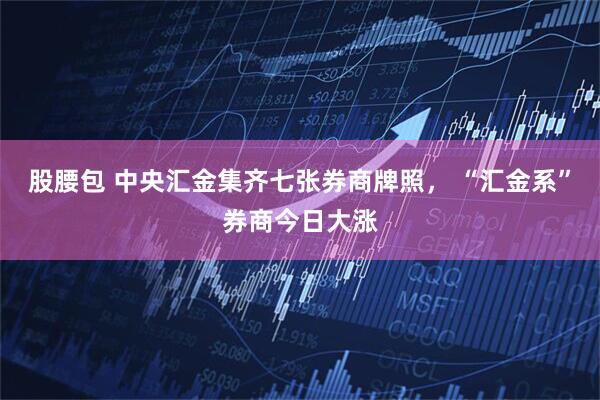 股腰包 中央汇金集齐七张券商牌照， “汇金系”券商今日大涨