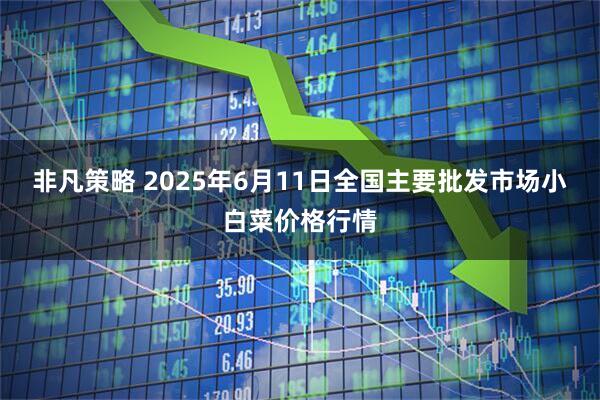 非凡策略 2025年6月11日全国主要批发市场小白菜价格行情