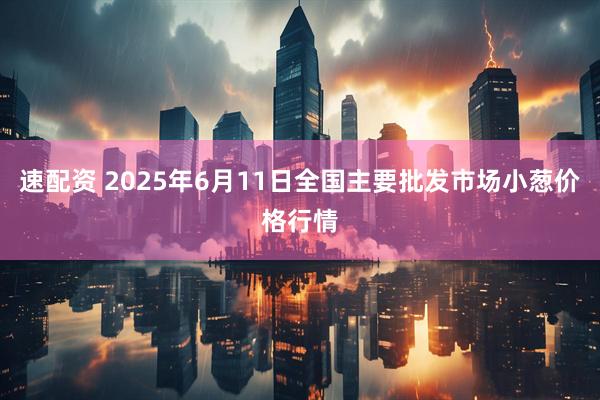 速配资 2025年6月11日全国主要批发市场小葱价格行情