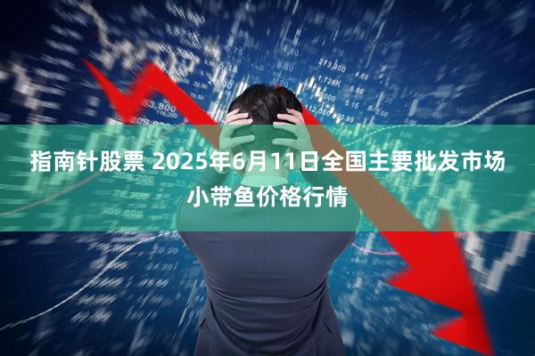 指南针股票 2025年6月11日全国主要批发市场小带鱼价格行情