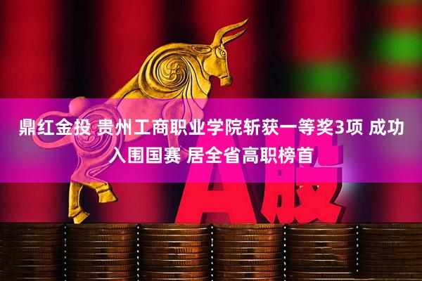 鼎红金投 贵州工商职业学院斩获一等奖3项 成功入围国赛 居全省高职榜首